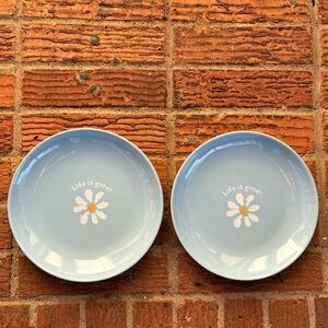 Set of 2 Life is Good Home Daisy Logo Blue & Yellow Plate Size 8”